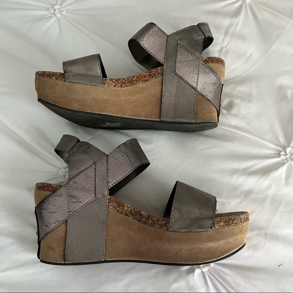 Pierre Dumas wedges
